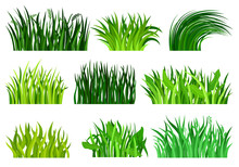 Flat Vector Set Of Different Decorative Grass Borders. Bright Green Wild Herb. Nature And Botany Theme. Natural Landscape Elements