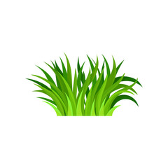 Wall Mural - bundle of fresh green grass. nature and gardening theme. bright herbal border. flat vector design