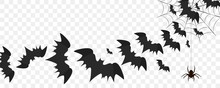 Halloween Bats Flying Over Transparent Background, Spider Hanging On Web, Vector Illustration. Halloween Bat Silhouettes, Shadows, Spooky Shapes For Parties, Cards, Flyers.
