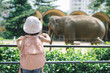 © makistock - Children feed Asian elephants in tropical safari park during summer vacation. Kids watch animals