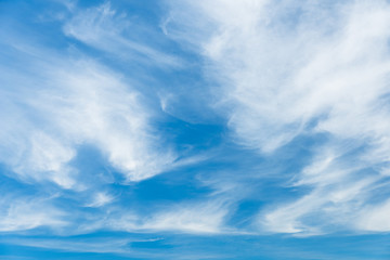 Wall Mural - beautiful cirrocumulus on high altitude layer with blue sky, wonderful fluffy clouds in summer