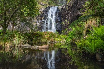 Wall Mural - Sheoak Falls Victoria Australia 