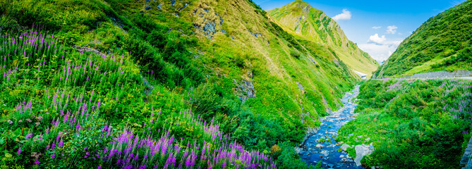 Canvas Print - Passo del San Gottardo - Switzerland