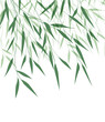 Vector illustration of Bamboo leaf. Natural background with green leaves
