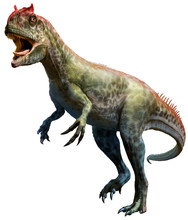 Allosaurus 3D Illustration