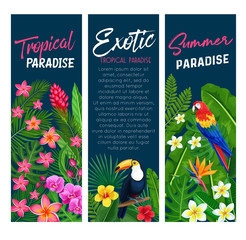 Wall Mural - Vector tropical banners
