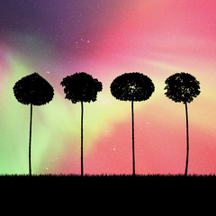 Sticker - Landscape with trees at night. Vector illustration with isolated silhouettes of maples growing in grass. Northern lights in starry sky. Colorful aurora borealis