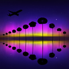 Sticker - Landscape with trees and flying aircraft at night. Vector illustration with isolated silhouettes of maples reflected in water. Northern lights in starry sky. Colorful aurora borealis.