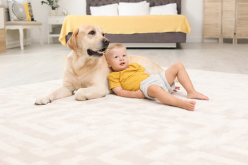 Wall Mural - Adorable yellow labrador retriever and little boy at home