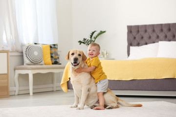 Wall Mural - Adorable yellow labrador retriever and little boy at home