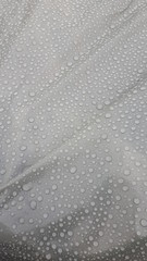  Water drops wallpaper