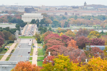 Wall Mural - Washington D.C. cityscape in autumn foliage - Washington D.C. United States of America