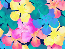 Rainbow Hawaiian Hibiscus Flower Free Stock Photo Public Domain Pictures rainbow-hawaiian-hibiscus-flower-free-stock-photo-public-domain-pictures