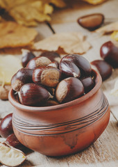 Wall Mural - Edible chestnut harvest in a clay pot in the autumn with fallen leaves background, selective focus and toned image