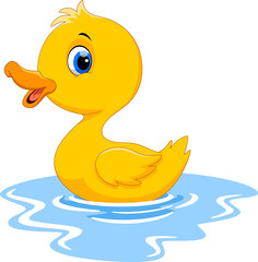 Wall Mural - cute cartoon duck swimming
