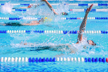 Canvas Print - Backstroke swimmers in a race