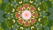Abstract Dynamic Geometric Kaleidoscope Flower Pattern Background