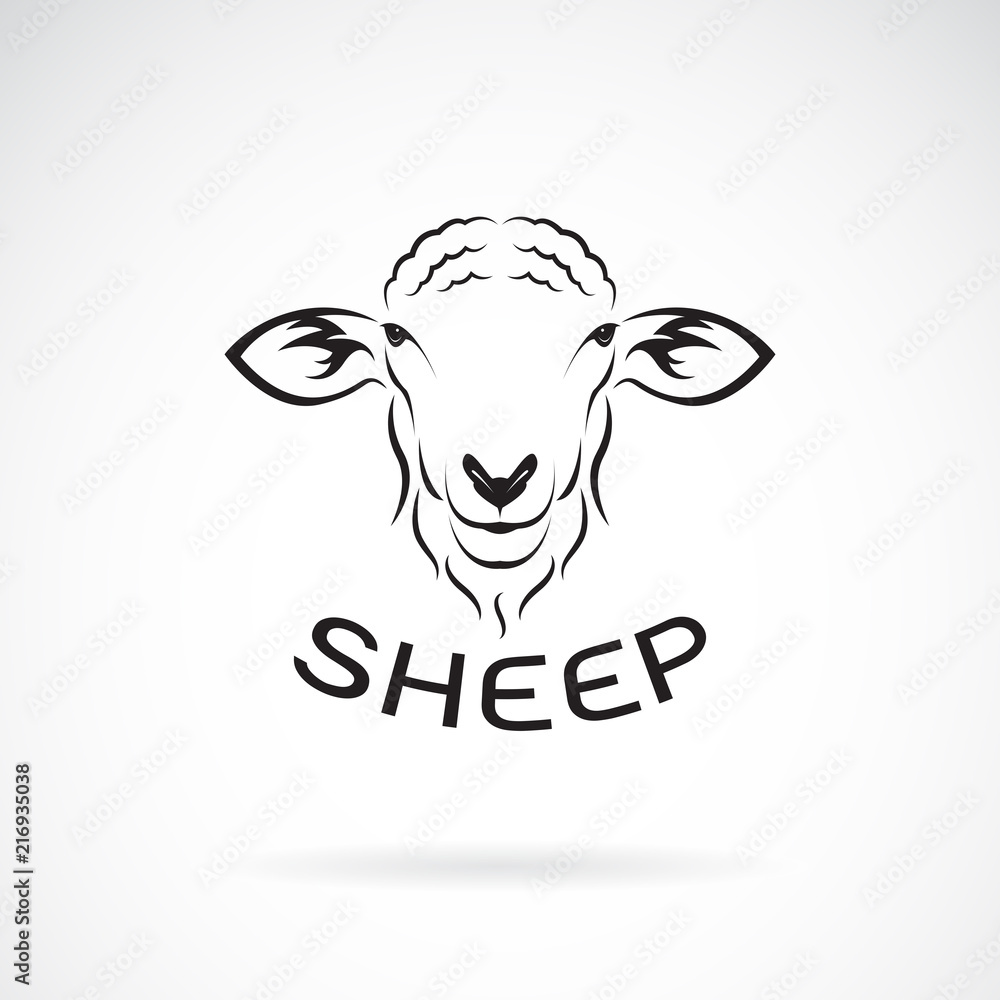 Sheep Front Vector Vector of sheep head design on white background. Wild Animals. Easy ...
