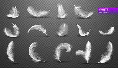 set of isolated falling white fluffy twirled feathers on transparent background in realistic style. 