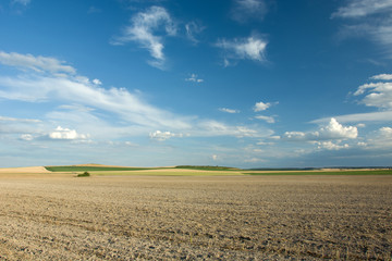 Wall Mural - Plowed field, fields on the horizon and white clouds in the blue sky