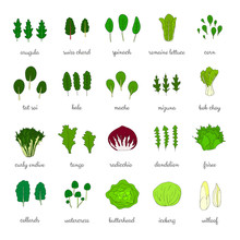 Hand Drawn Popular Types Of Salad.