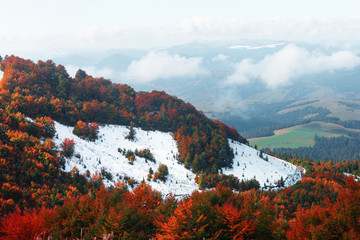 Amazing scene on autumn mountains. First snow and orange trees in fantastic morning sunlight. Carpathians, Europe. Landscape photography