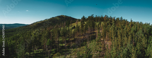 Fotografía Drone panoramic view of Sugoyak mountain peak with high tree trunks, mixed fores