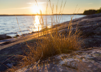 Wall Mural - Sunset in the Finnish archipelago. Sun going down on the cliffs on the shores of the Baltic sea.