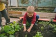 © Wavebreak Media - Kid planting in greenhouse