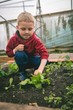 © Wavebreak Media - Boy touching plant in greenhouse