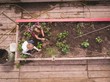 © Wavebreak Media - Overhead view of sibling gardening in greenhouse
