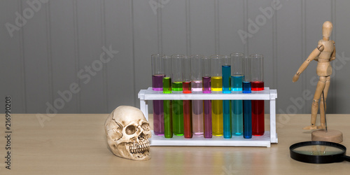 Skull Bone Color Of Test Tube Human Wood Model And Magnifying