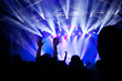 © Melinda Nagy - cheering crowd with raised hands at concert - music festival