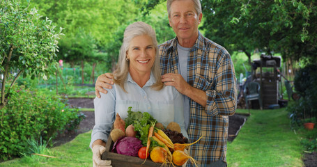 Happy aged white gardener couple stand proudly with produce from private garden