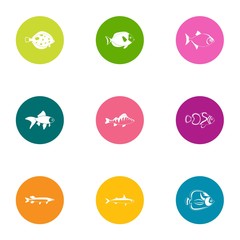 Wall Mural - Fish entrepreneurship icons set. Flat set of 9 fish entrepreneurship vector icons for web isolated on white background