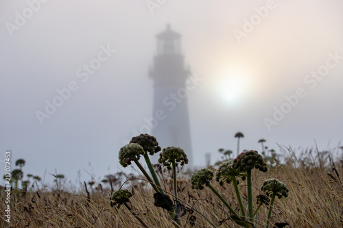 Fotografie, Obraz Foggy sunset at Yaquina Head Lighthouse along the Oregon coastline in the Pacifi