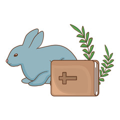 Poster - cute rabbit and bible