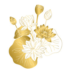 vector contour color gold  lotus lily Chinese Asian symbol flower card