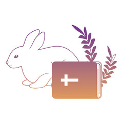 Poster - bible and cute rabbit over white background, vector illustration