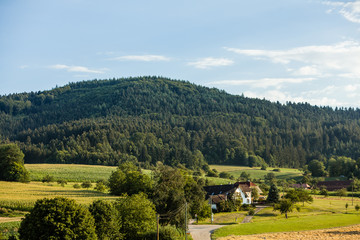 Southern German countryside landscape at summer, village near Black forests