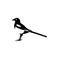 Wall Mural - magpie silhouette