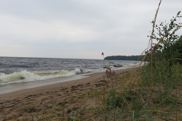 the Ladoga wave