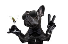 Peace Cocktail Dog