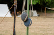 © AlessandraRC - Vintage canteens from the US civil war