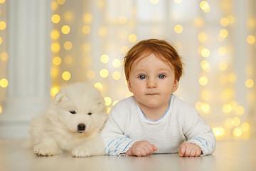 Boy with samoyed puppy, christmas