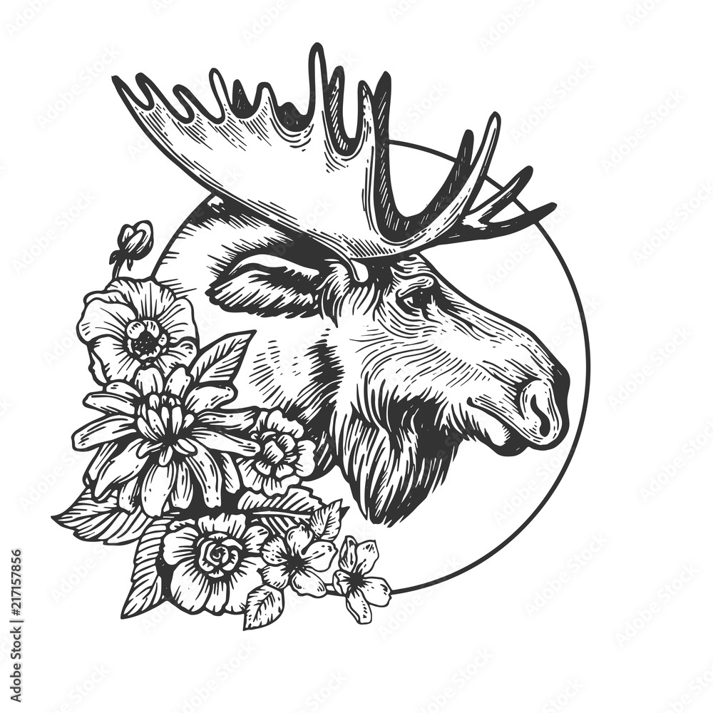 Moose head animal engraving vector Stock Vector | Adobe Stock
