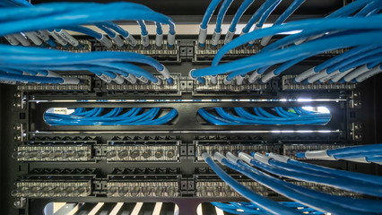 network cable and patch panel in rack cabinet