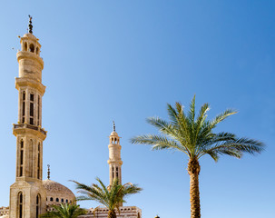 two date palms two minarets of the mosque El-Mustafa in Sharm El