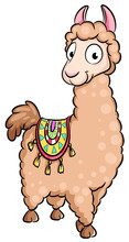 Niedliches Lama - Vektor-Illustration