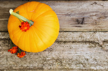 Yellow Pumpkin And Orange Flower On Wooden Background. Autumn. Harvest Festival. Flat Lay Autumn Wallpaper. Selective Focus